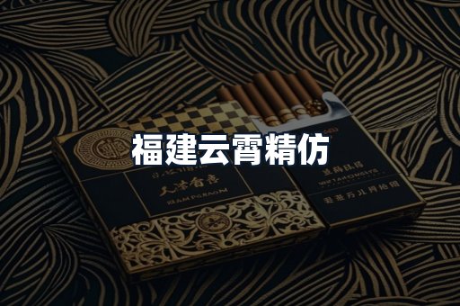 福建云霄精仿